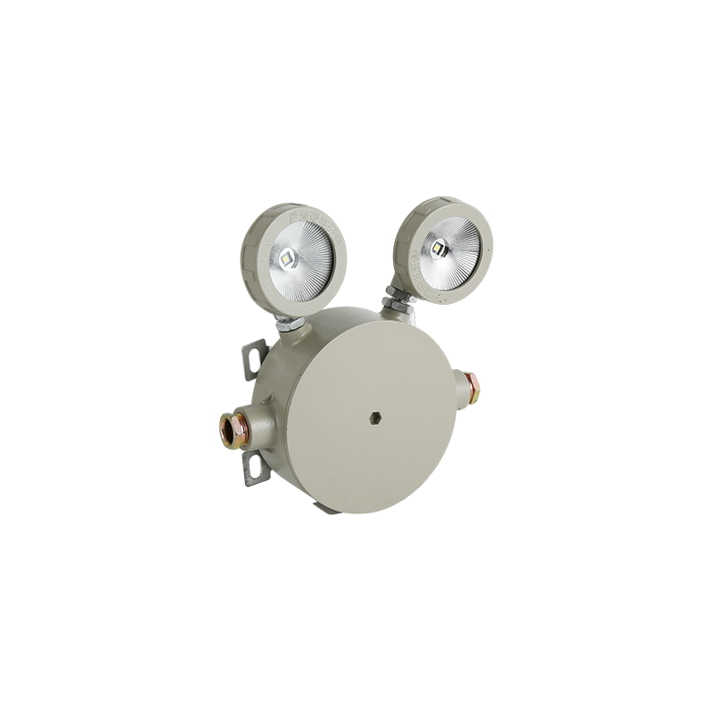 集控型应急防爆双头灯