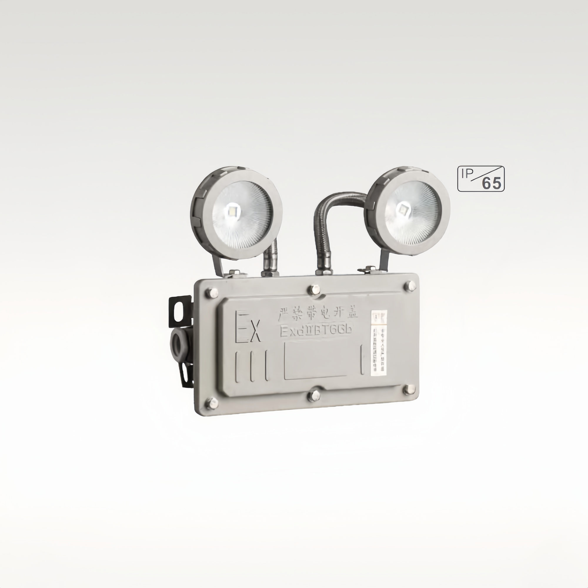 Emergency Explosion-proof Double Headamp-BX-FS048
